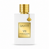 DANTE VII