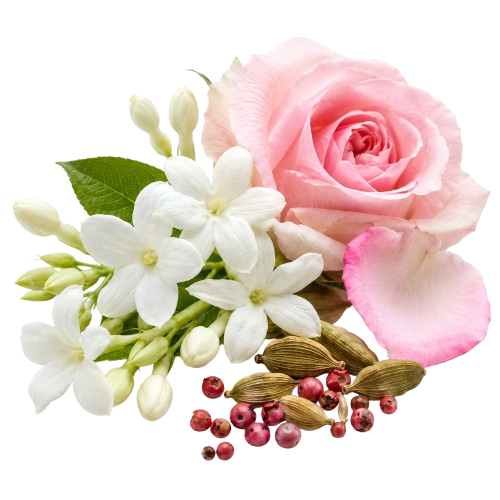 G+ By Sillage Arabia