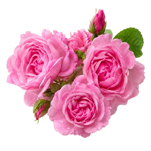 Water Way Fresh Floral Eau de Parfum Inspired by Coco Chanel
