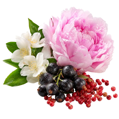 Jan London Teaser 50ml Eau de Parfum Seductive Floral Fruity Fragrance