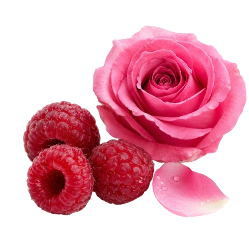 Jan London Teaser 50ml Eau de Parfum Seductive Floral Fruity Fragrance