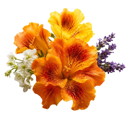 Jan London Wow V-S Seductive Floral Fruity Women's Eau De Parfum