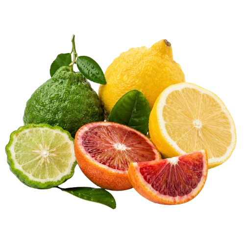Rayon de Lumiere Fresh Citrus and Floral Eau de Parfum