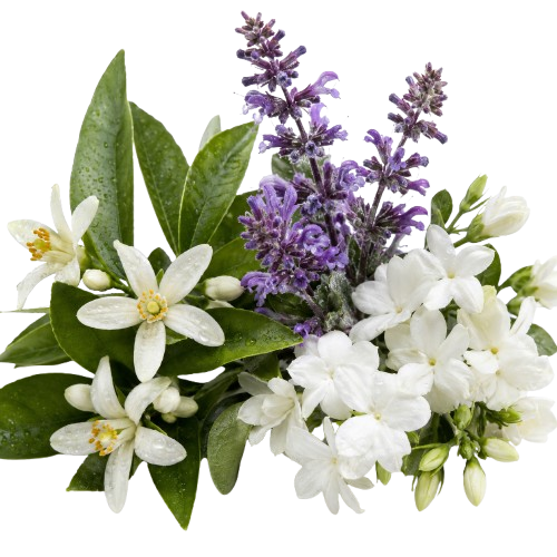 Rayon de Lumiere Fresh Citrus and Floral Eau de Parfum