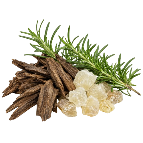 Oud Jungle Eau de Parfum Inspired by Imperial Valley Gissah