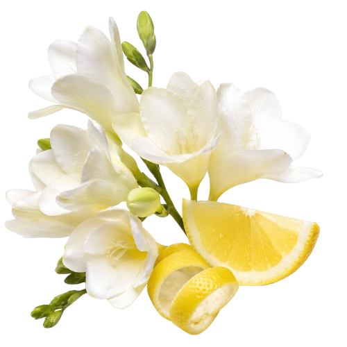 Chamakz Eau de Parfum Elegant Fruity Floral Fragrance for Women 50ml