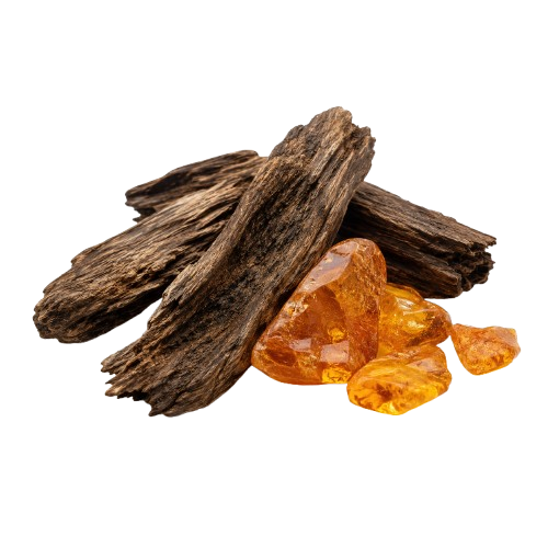 OUD AL SHAMS inspired by Oud Al Shams — Khalis