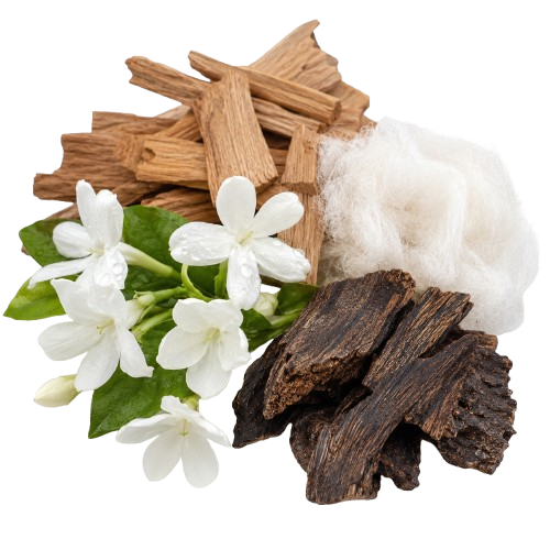 KHAT ALARAB inspired by Ameerat Al Arab — Asdaaf
