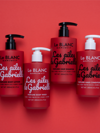 Les ailesde Gabriella HAIR CONDITIONER