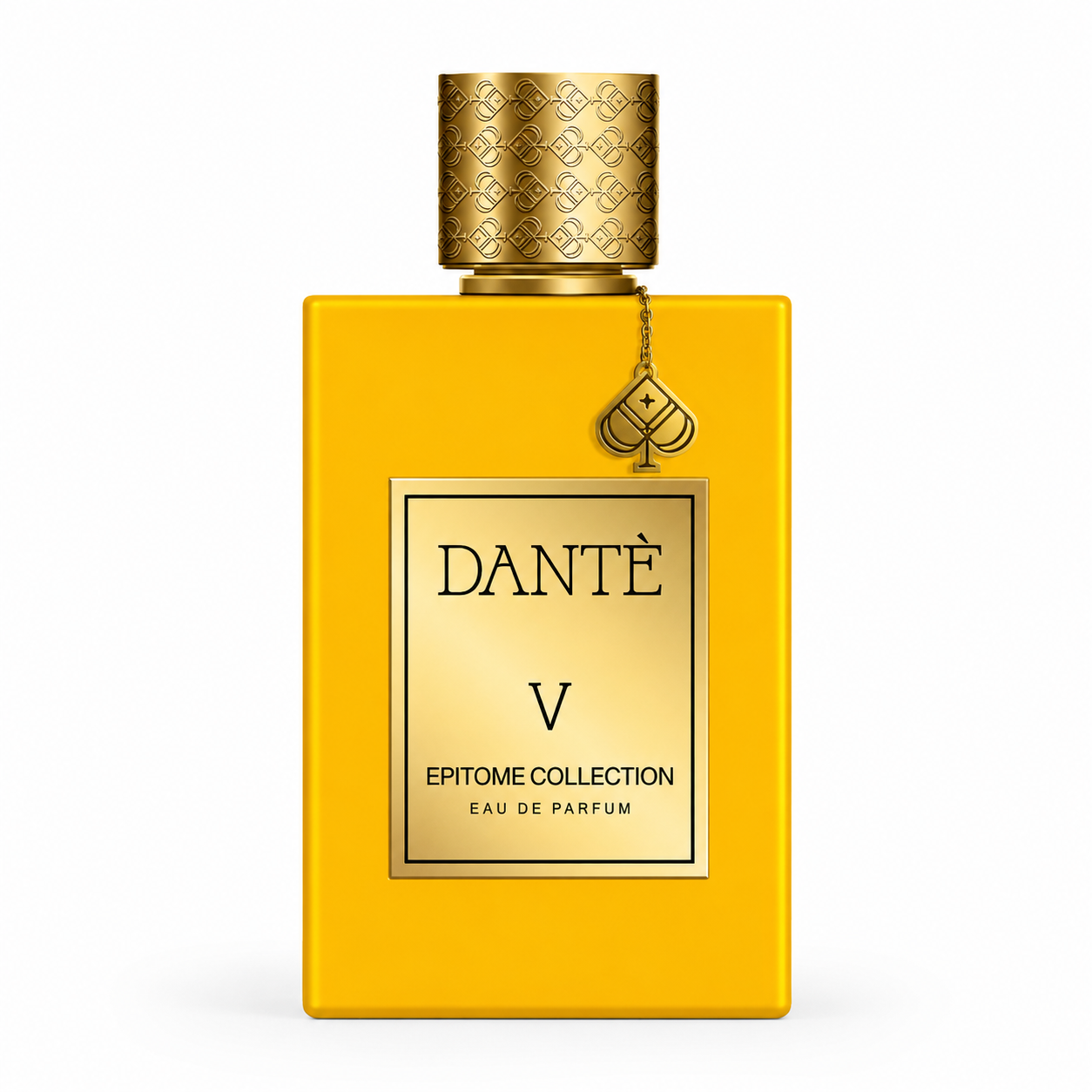 DANTE V